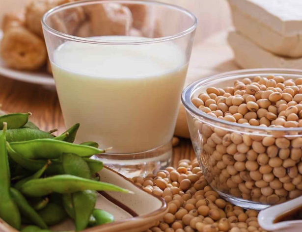 Xelha Alimentos